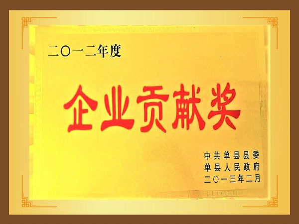 企業(yè)貢獻(xiàn)獎(jiǎng)